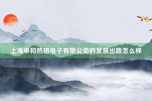 上海申和热磁电子有限公司的发展出路怎么样